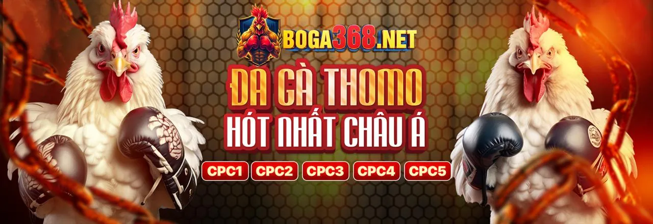 Hình ảnh minh họa các khuyến mãi chào mừng hấp dẫn tại Oppabet